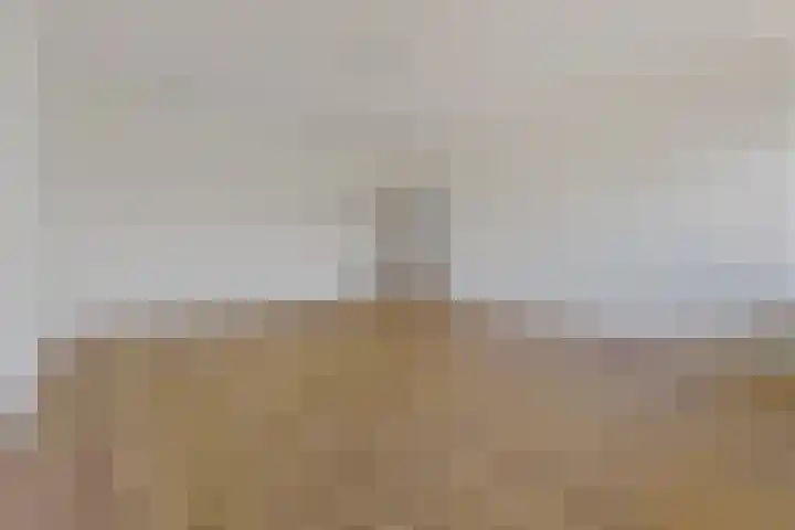 De Brink 838 Den Haag thumbnail 6