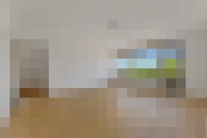 De Brink 838 Den Haag thumbnail 7
