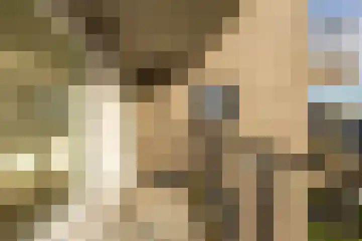 De Brink 84 Groningen thumbnail 32