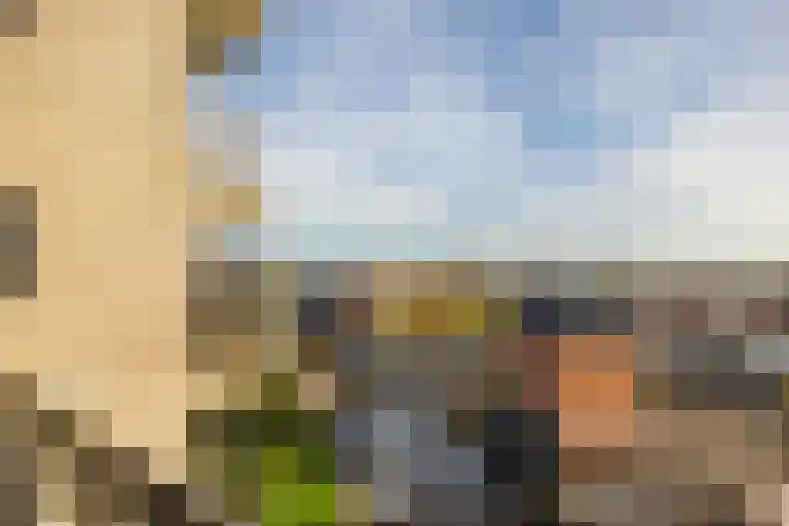 De Brink 84 Groningen thumbnail 33