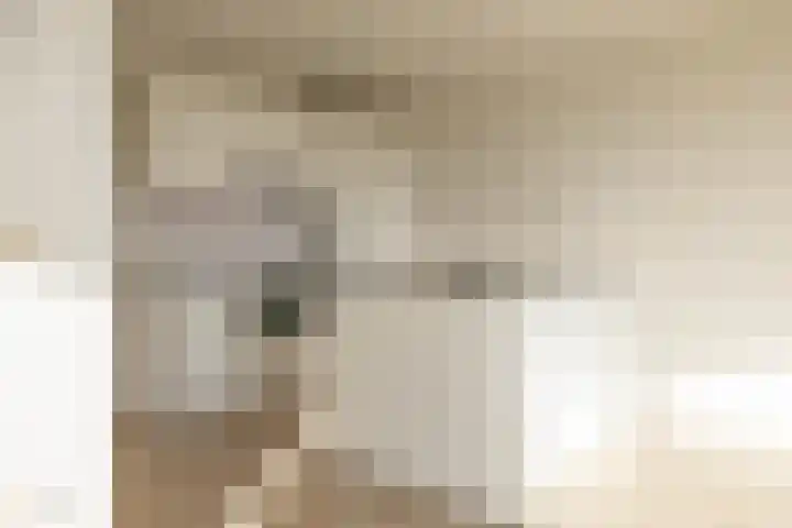 De Brink 84 Groningen thumbnail 5