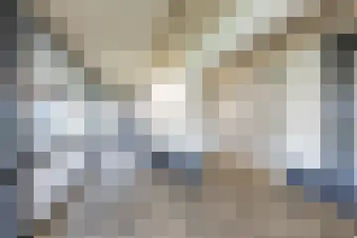 De Brink 84 Groningen thumbnail 9