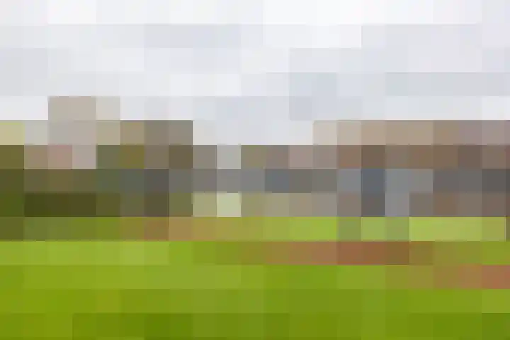 De Brink 90 Groningen thumbnail 10