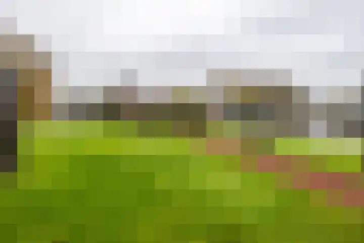 De Brink 90 Groningen thumbnail 11