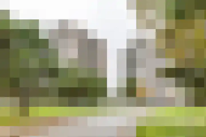 De Brink 90 Groningen thumbnail 7
