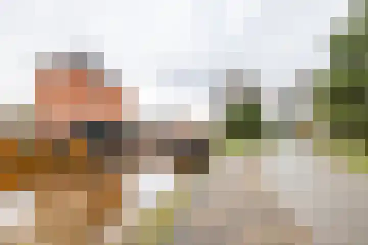 De Brink 90 Groningen thumbnail 8