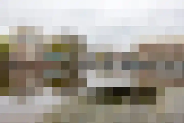 De Brink 90 Groningen thumbnail 9