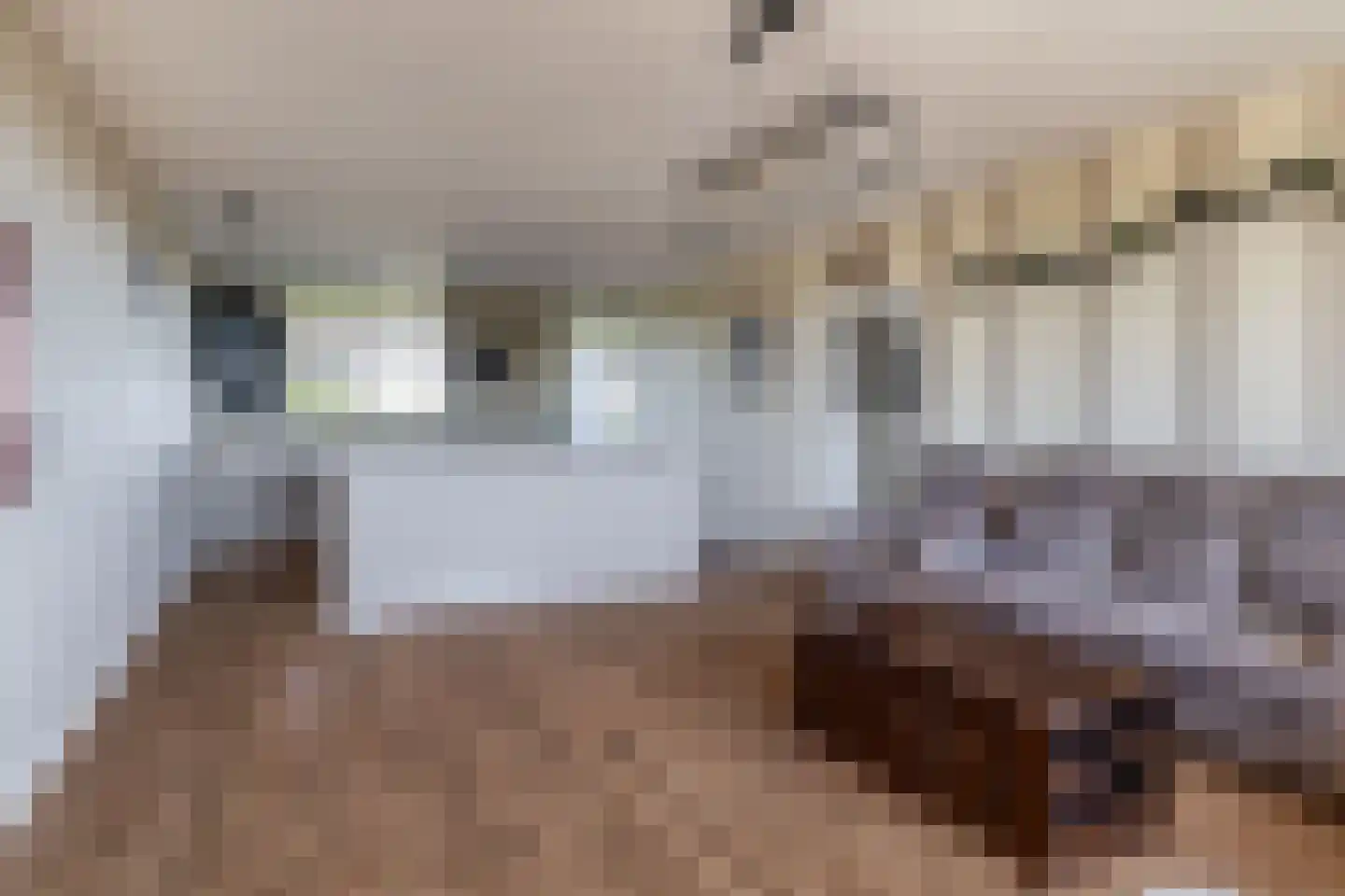 De Brink 900 Den Haag thumbnail 16