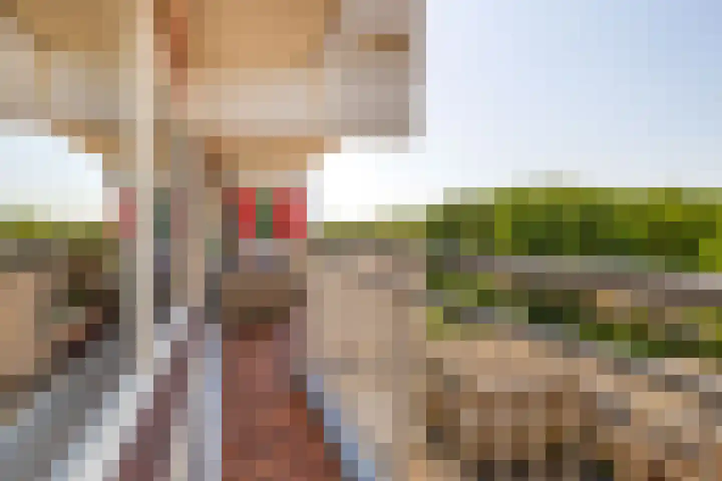 De Brink 900 Den Haag thumbnail 22