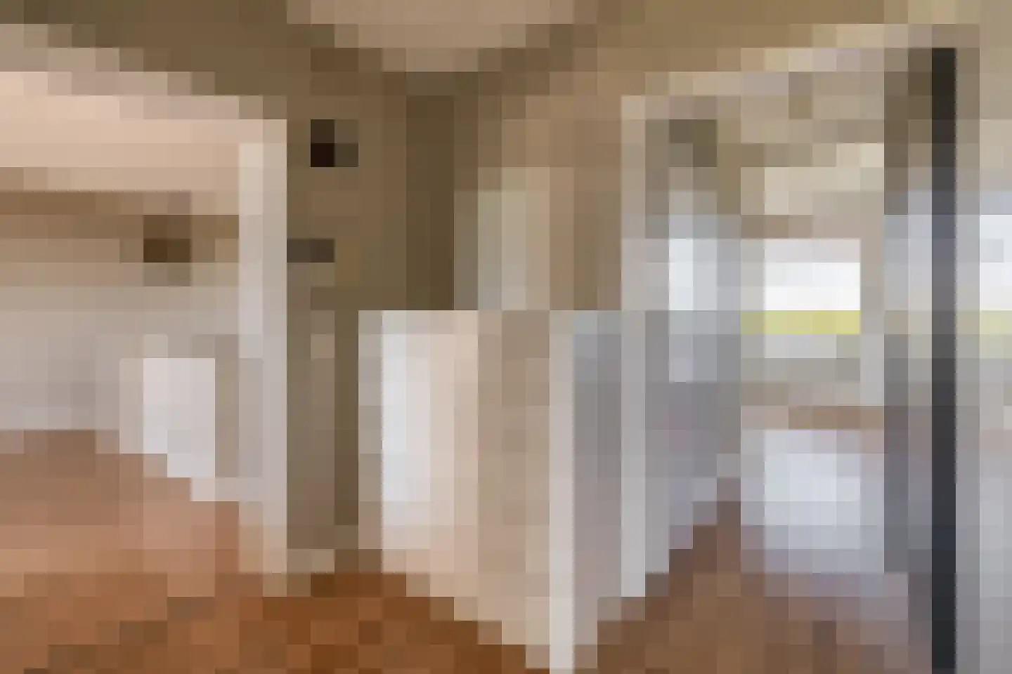 De Brink 900 Den Haag thumbnail 25