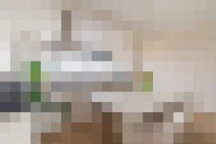 De Brink 920 Den Haag thumbnail 10
