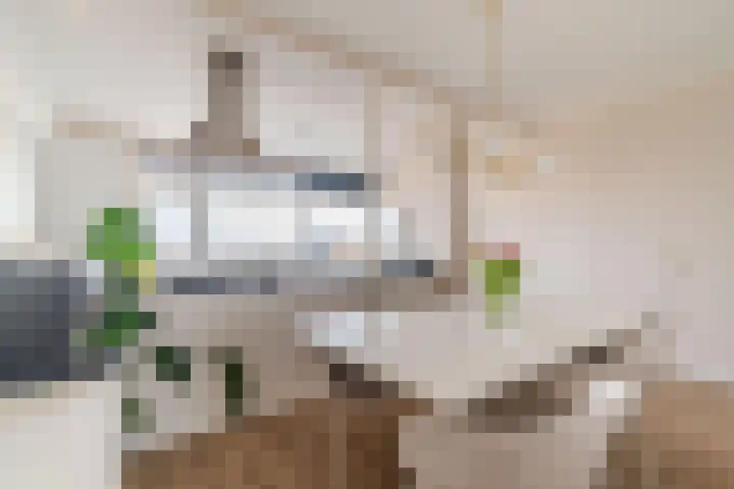 De Brink 920 Den Haag thumbnail 10