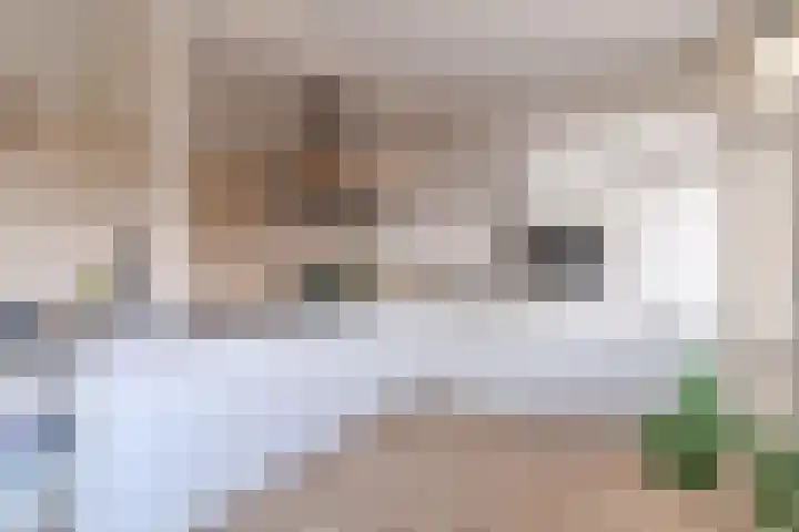 De Brink 920 Den Haag thumbnail 11