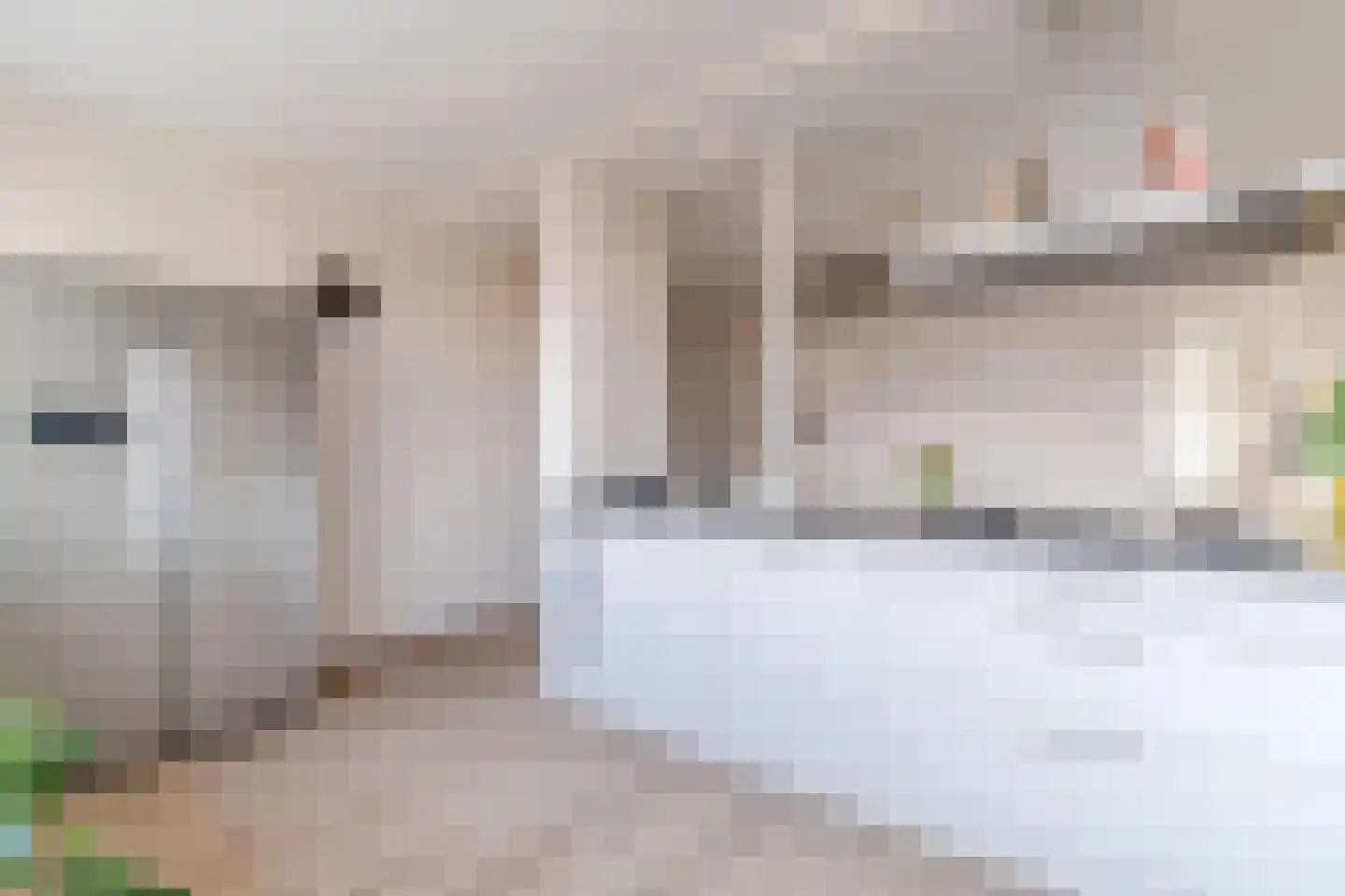 De Brink 920 Den Haag thumbnail 13