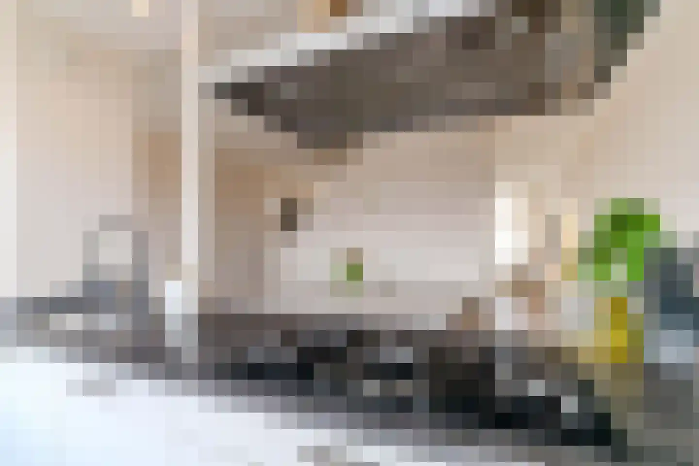 De Brink 920 Den Haag thumbnail 14