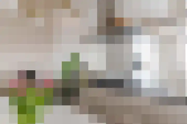 De Brink 920 Den Haag thumbnail 17