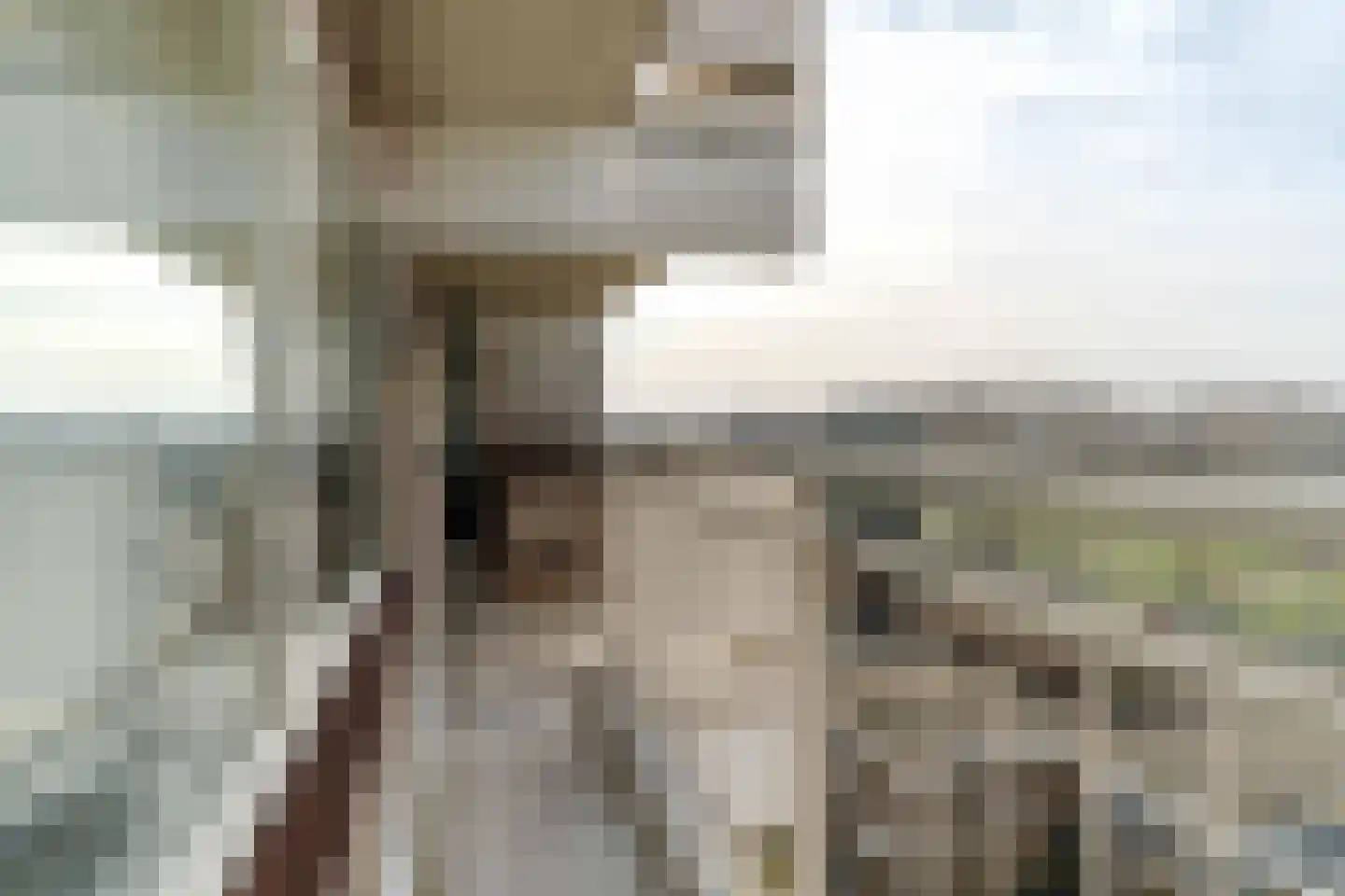 De Brink 920 Den Haag thumbnail 18