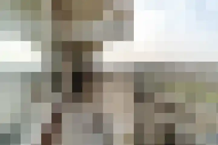 De Brink 920 Den Haag thumbnail 18