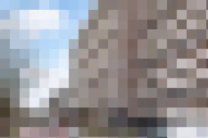 De Brink 926 Den Haag thumbnail 6