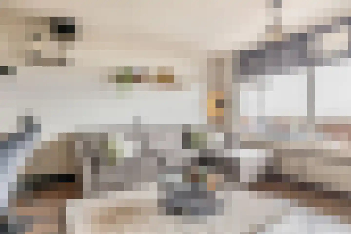 De Brink 938 Den Haag thumbnail 15