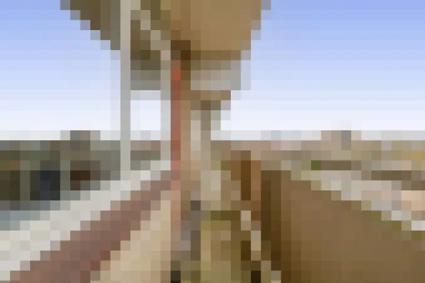 De Brink 938 Den Haag thumbnail 33