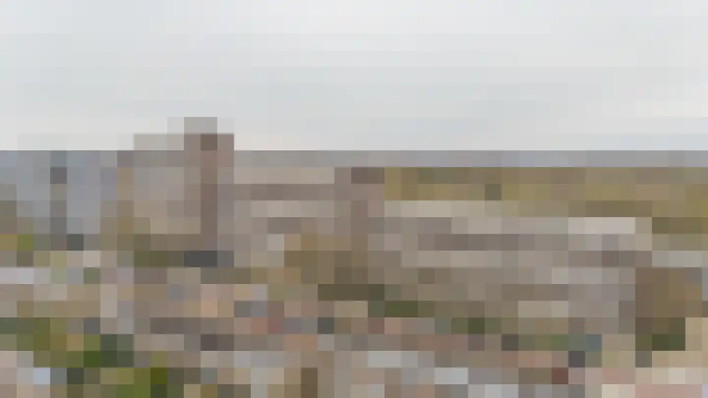 De Brink 938 Den Haag thumbnail 6