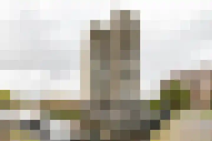 De Brink 94 Groningen thumbnail 31