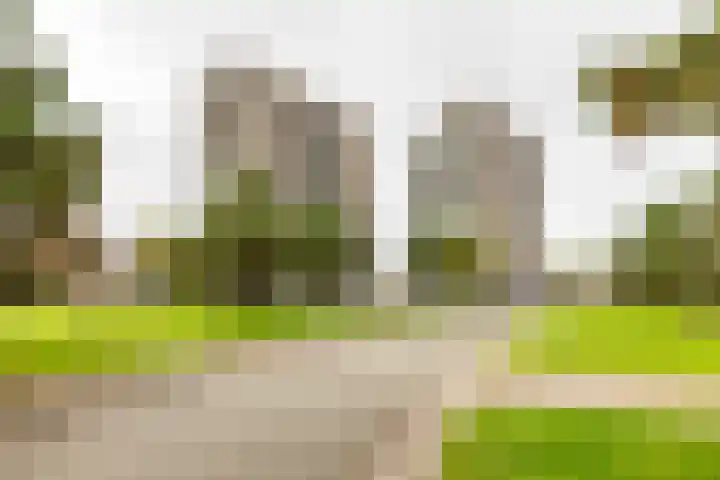 De Brink 94 Groningen thumbnail 5