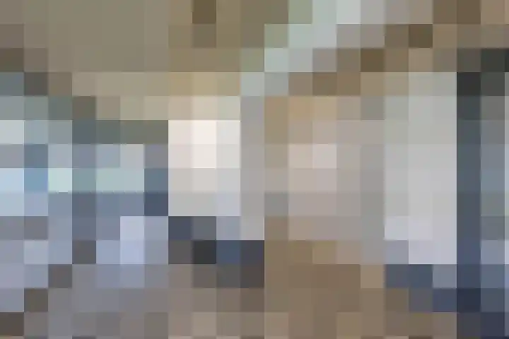 De Brink 94 Groningen thumbnail 6