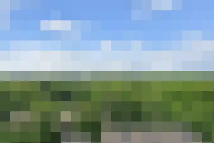 De Brink 978 Den Haag thumbnail 19