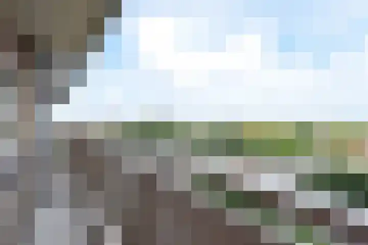 De Brink 978 Den Haag thumbnail 33