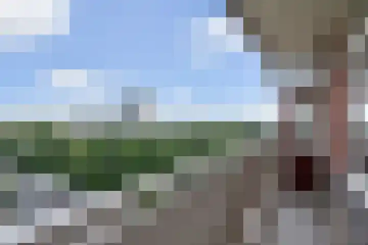 De Brink 978 Den Haag thumbnail 34