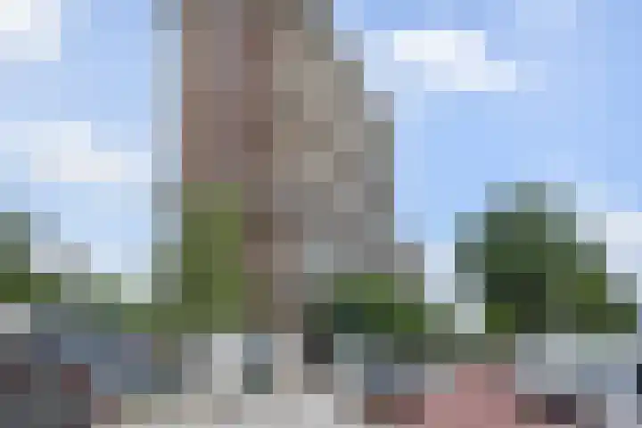 De Brink 978 Den Haag thumbnail 36