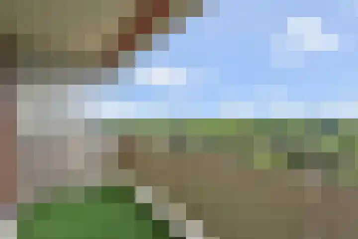 De Brink 978 Den Haag thumbnail 4