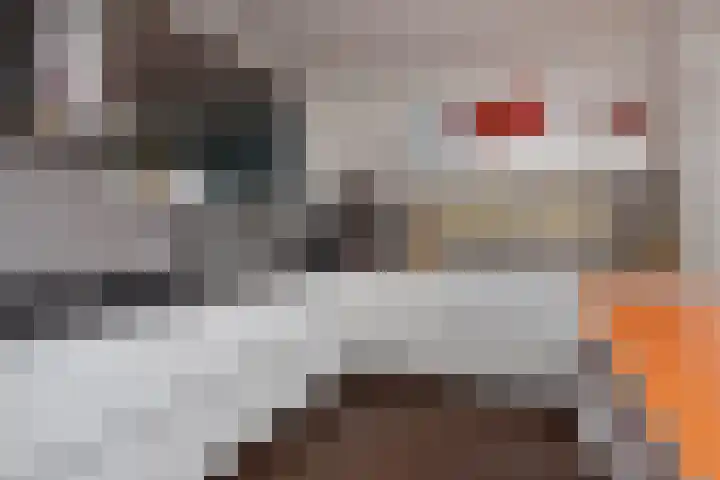 De Brink 982 Den Haag thumbnail 22