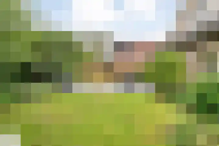 De Brinken 11 Erm thumbnail 36