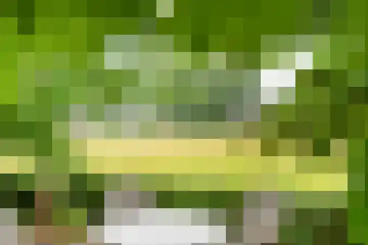 De Brinken 11 Erm thumbnail 37