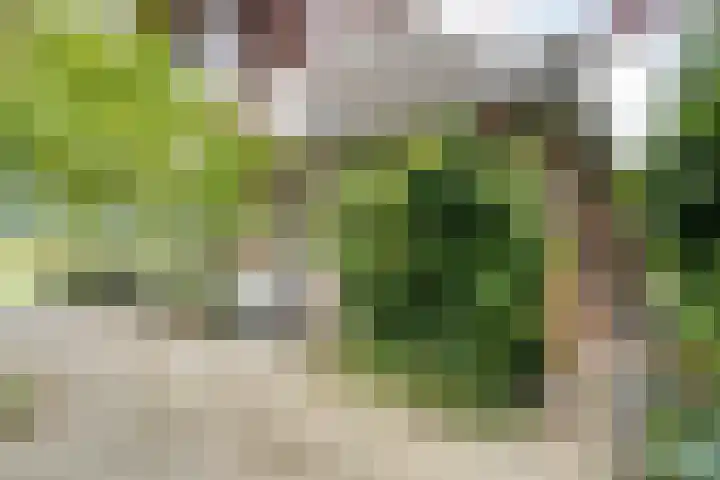 De Brinken 11 Erm thumbnail 4