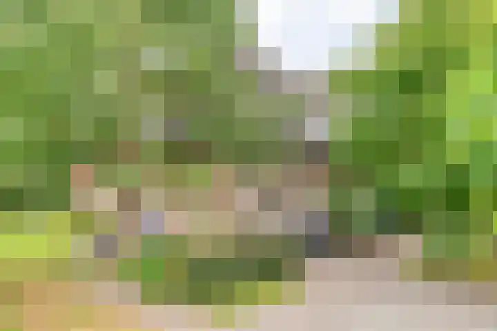 De Brinken 11 Erm thumbnail 42