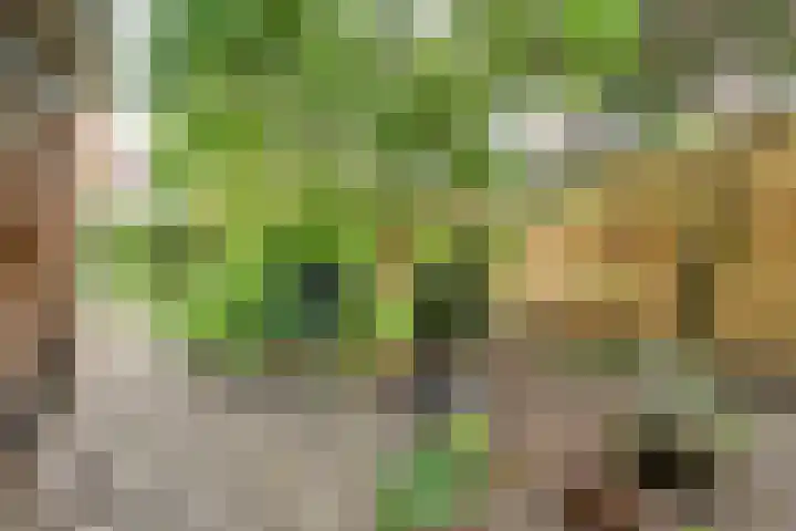 De Brinken 11 Erm thumbnail 46