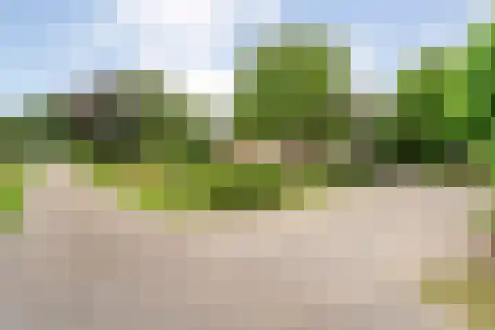 De Brinken 11 Erm thumbnail 48
