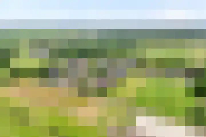 De Brinken 11 Erm thumbnail 49