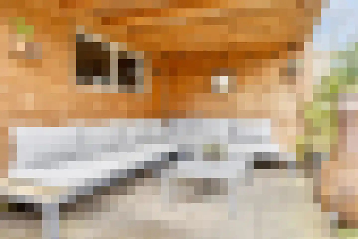De Brinken 25 Veenendaal thumbnail 32