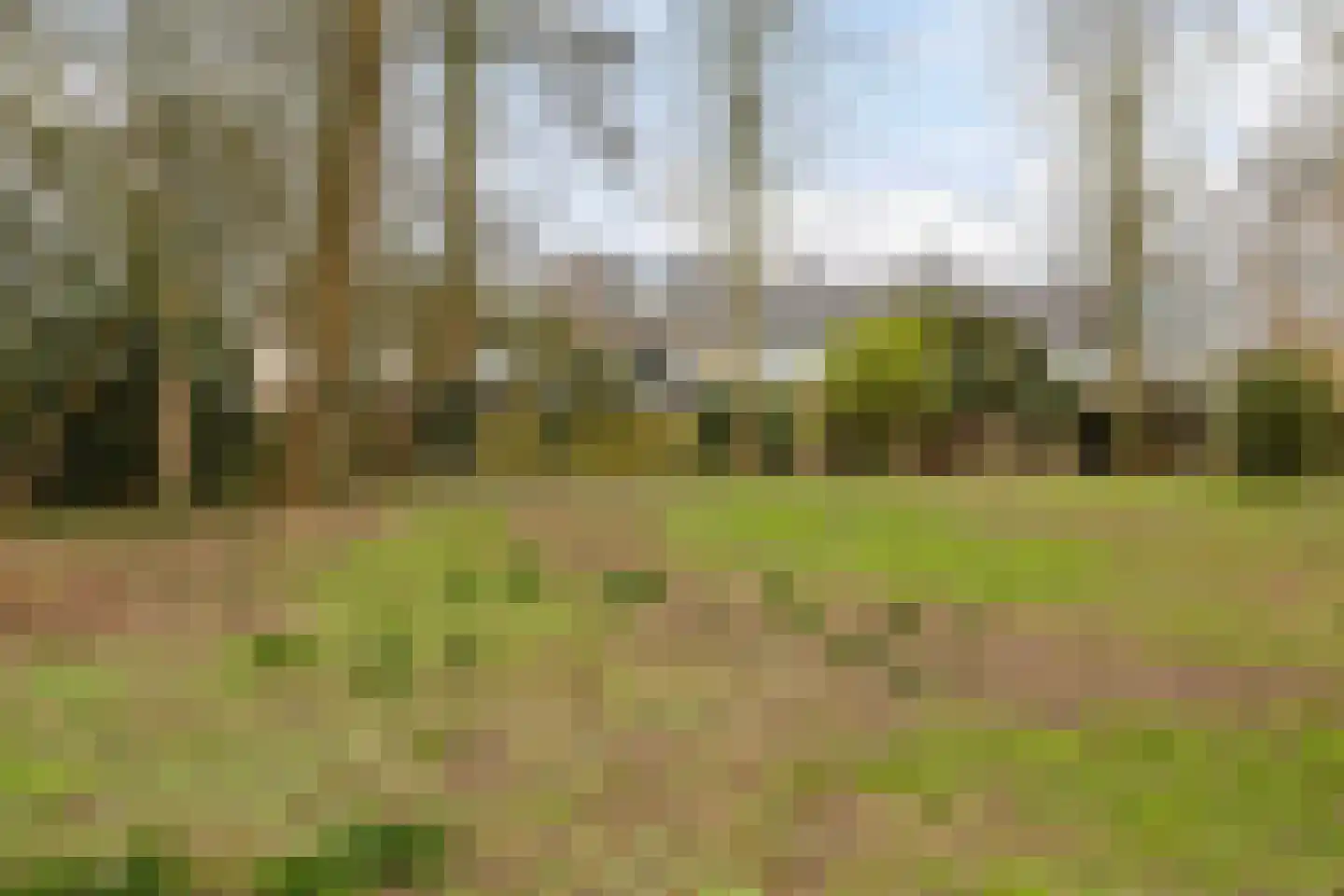 De Brinken 25 Veenendaal thumbnail 38