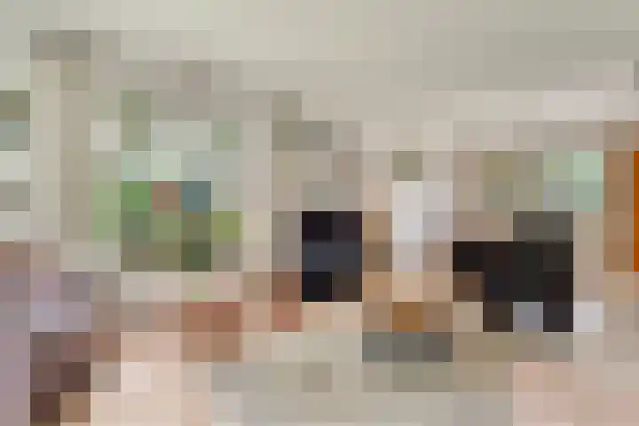 de Brinken 32 Dalen thumbnail 12
