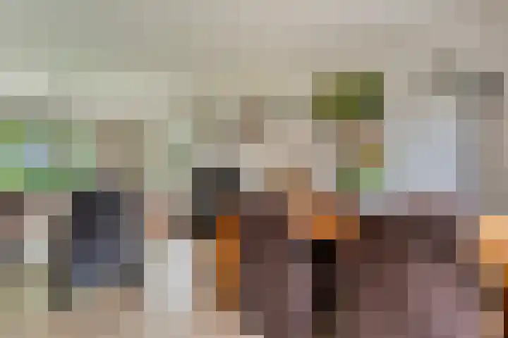de Brinken 32 Dalen thumbnail 15