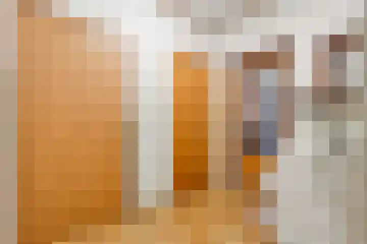 de Brinken 32 Dalen thumbnail 26