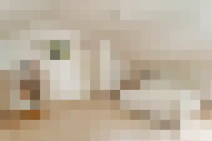 de Brinken 32 Dalen thumbnail 33
