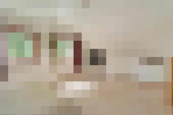 de Brinken 32 Dalen thumbnail 34