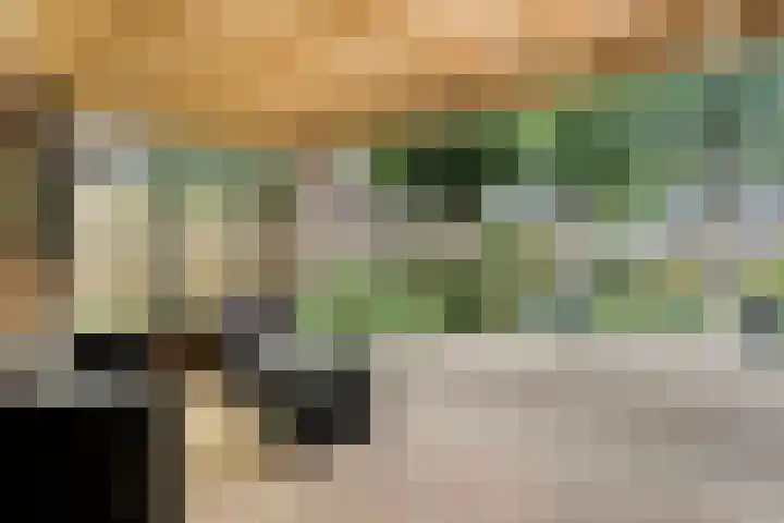 de Brinken 32 Dalen thumbnail 37